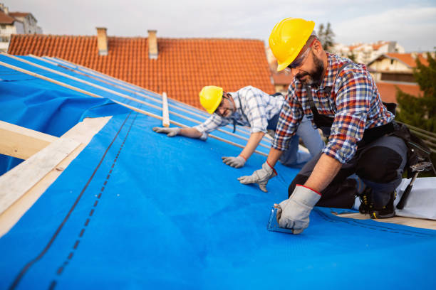 Best Roof Leak Repair  in Ardia, CA